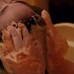 WhatsApp Image 2025 11 04 at 7.13.15 AM