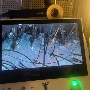 WhatsApp Image 2025 11 04 at 7.43.25 AM